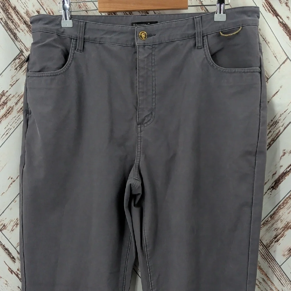 Backcountry Gray‎ Pants